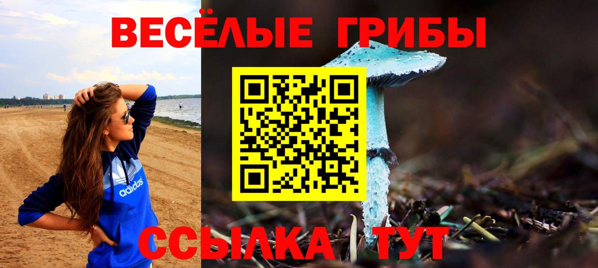 Псилоцибиновые грибы GOLDEN TEACHER  Вход с VPN  Кубинка 